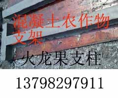 制作深圳火龙果混凝土支架植物搭棚支架柱子