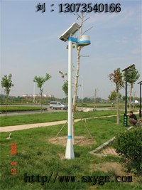 供应道路照明系列工程