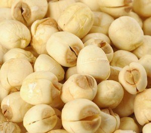 专业厂商生产供应莲子提取物比例提取物