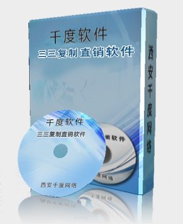 三三复制软件定做