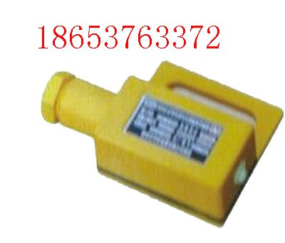 GWD100温度传感器