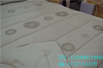 供应彩虹磁疗空调被，磁疗空调被真的能抗菌吗？