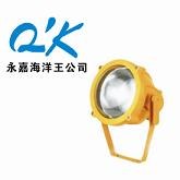 供应防爆投光灯BTC8200-J150 海洋王BTC8200 油田专用海洋王