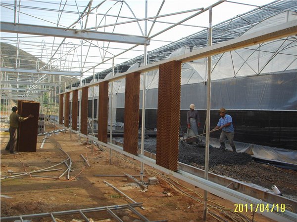 福建温室大棚/厦门黑土农业科技公司