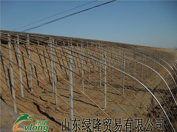 专业建造蔬菜温室大棚，专业建设温室专业建造大棚
