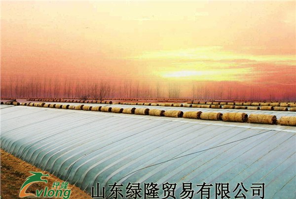 寿光绿隆专业建设蔬菜温室大棚，技术服务首选