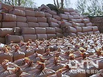 大量供玉米秸秆压块饲料苜蓿压块饲料价格低质量好