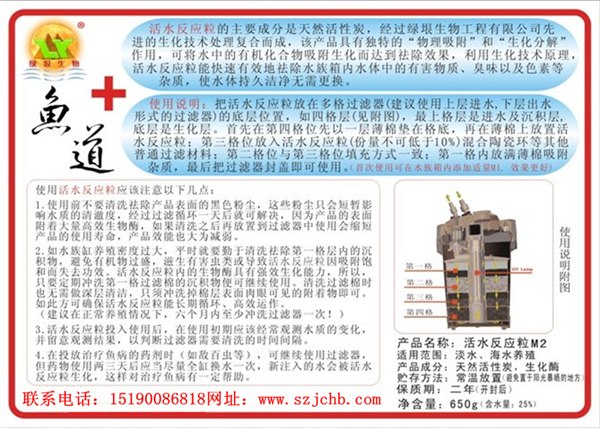莱芜市环保企业鱼池水处理，当天见效，百分百强效处理鱼池水发绿