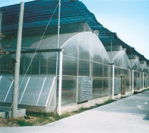 石家庄电动遮阳蔬菜大棚建设开窗温室大棚