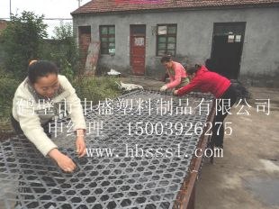 供应矿用编织网矿用护帮网井下用假顶网