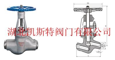 山西阀门DJ11Y 锻钢低温截止阀 湖北凯斯特阀门