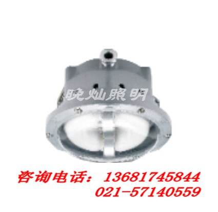 供应NFC9176长寿顶灯，长寿顶灯上海工厂直销