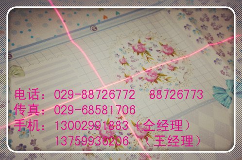 供应裁床十字线定位灯 