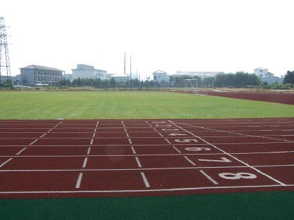 篮球场草坪 |排球场草坪首选还是锡市绿奥人造草坪公司