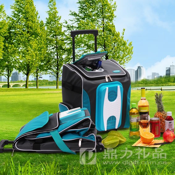 合肥软体冰箱【优质优价】合肥软体冰箱哪家好 合肥软体冰箱批发