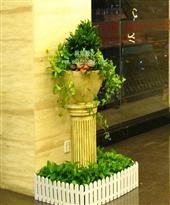 成都室内植物租赁|室内放什么植物？健康绿植吸醛又净味