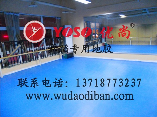 供应新型舞蹈地胶卷材