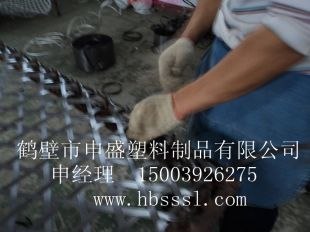 供应塑料阻燃网塑料护帮网塑料假顶网
