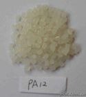 供应PA12 E62H 德国赢创德固赛