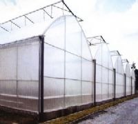 石家庄日光温室大棚建设阳光板温室大棚建设