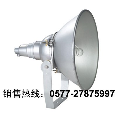 『ZY8310﹡ZY8310』ZY8310防震型投光灯