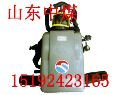 供应山西太原囊式正压氧气呼吸器