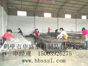 塑料护顶网 煤矿用护顶网