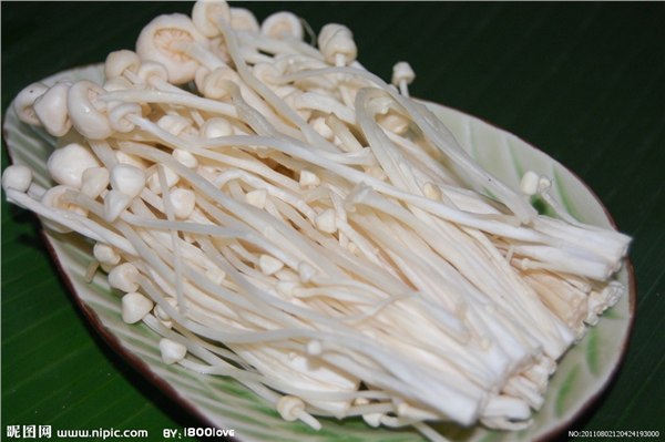 金针菇大量供应诚招代销