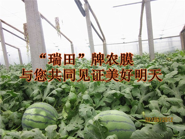 高压包装膜批发低压包装膜批发优质包装膜批发、批发高、低包装膜