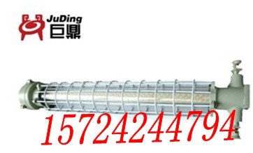 供应矿用隔爆型LED巷道灯DGS20/127L(A)（长形）