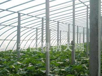 大棚建设技术 蔬菜温室大棚建设 温室工程 中国蔬菜大棚建设