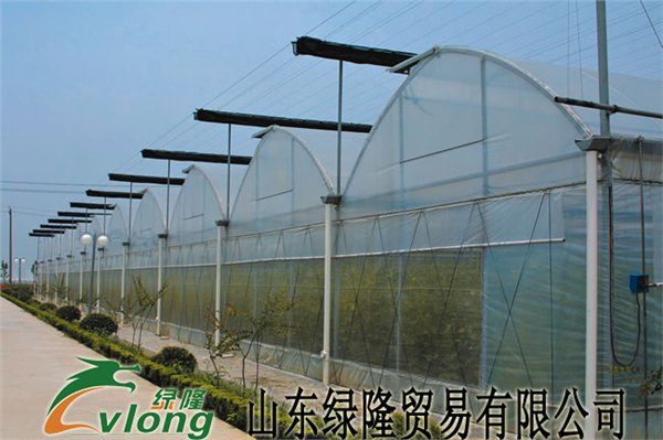专业建造蔬菜温室大棚，温室工程，绿隆更专业，更了解您的需要