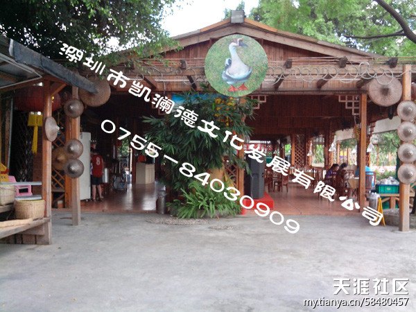 六月将至来凯澜德农家乐摘荔枝 包粽子 休闲等