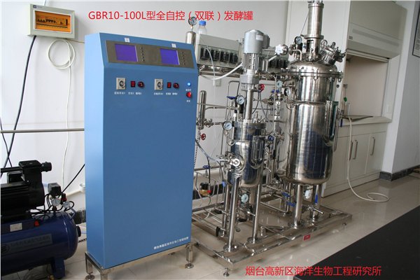 GBR10/100L系列二级中试不锈钢发酵罐（生物反应器）