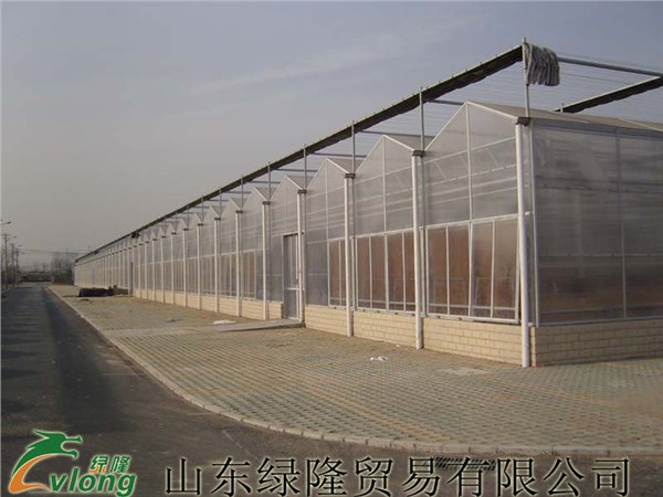 专业建造蔬菜温室大棚，根据客户的实际定制最实际的方案