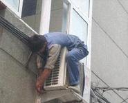 湖北东风校车|莲花校车|价格最优，幼儿专用车