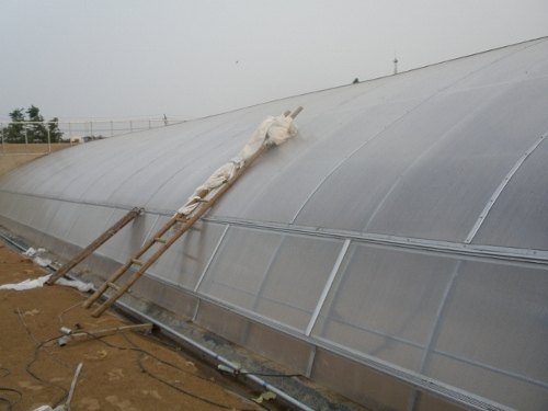 石家庄全包型蔬菜大棚建设温室大棚建设工程承包处