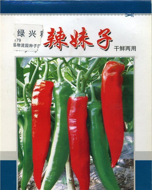 尖椒种子，辣椒种子，进口抗病毒尖椒种子，寿光绿兴