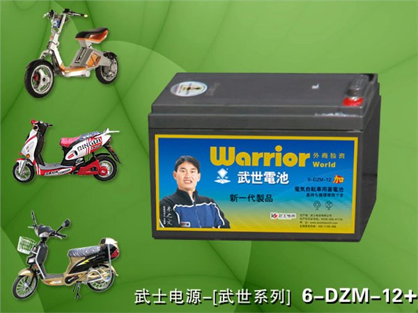 电动车专用电池 电动车蓄电池 电动车电瓶