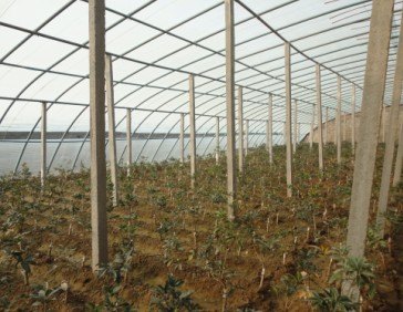 大棚建设，最好的大棚建设公司，寿光宏图温室大棚建
