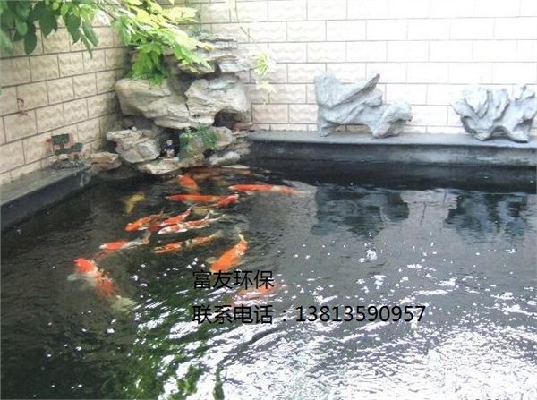 供应别墅鱼池水处理工程，景观水过滤器设备。