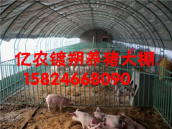供应合肥养殖大棚骨架支架安装