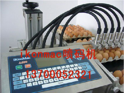 供应黑龙江鸡蛋喷码机_黑龙江喷码机价格_多头喷码机耗材