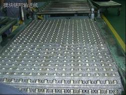 供应上海400滚珠网带厂家