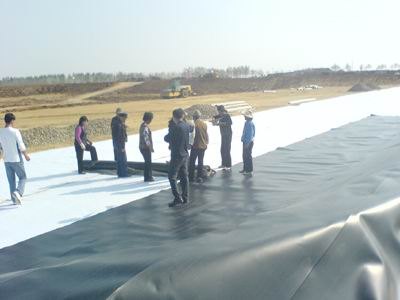 供应仪征东利建筑材料有限公司 供应HDPE土工膜