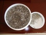 磁力抛光专用不锈钢针