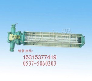 独具一格矿用隔爆型荧光灯安装维护方便