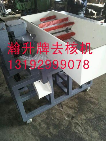 供应干燥去核机75-200kg/h