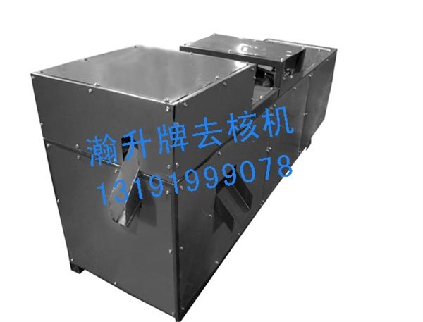 供应金丝大枣除核机