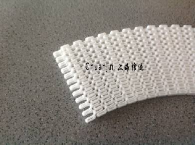 供应中央厨房专用圆带式输送机